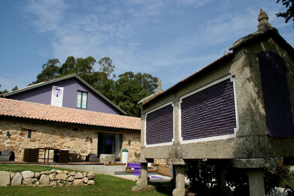 7 Uvas Nigrán